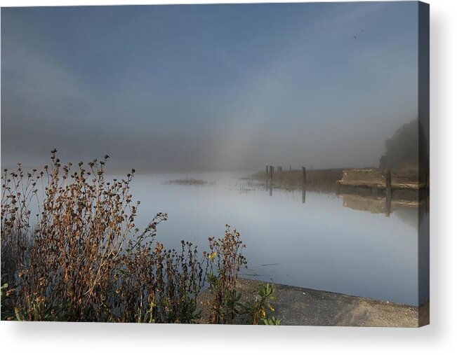 Gallinas Creek Acrylic Print featuring the photograph Gallinas Creek Sunrise by John Parulis