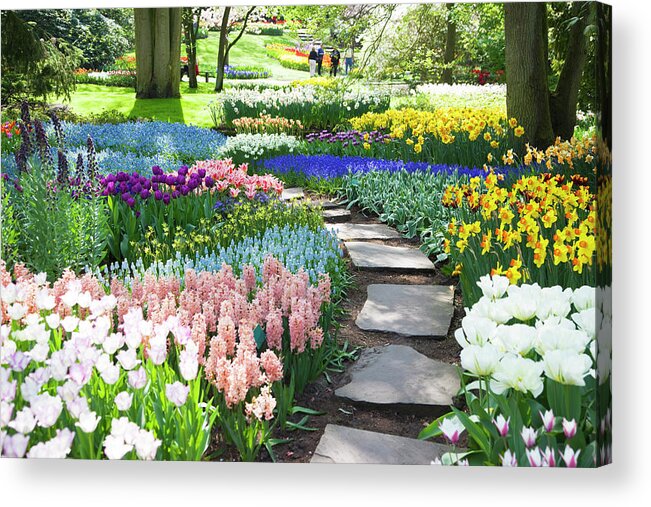 Flowerbed Acrylic Print featuring the photograph Garden Flowers 53 Xxxl by Lya cattel