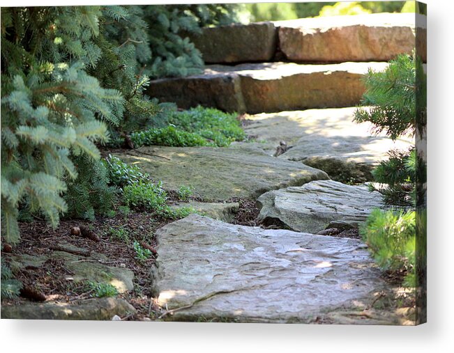 Garden Stairs Acrylic Print featuring the photograph Garden Landscape - Stone Stairs by Colleen Cornelius