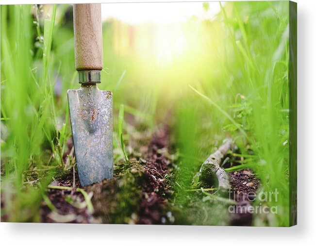 Agricultural Acrylic Print featuring the photograph Gardening shovel in an orchard during the gardener's rest by Joaquin Corbalan