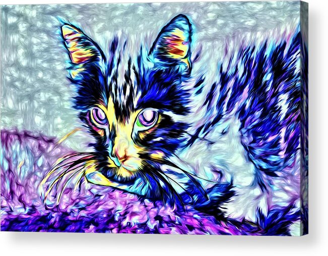 Cat Acrylic Print featuring the photograph Ghost Cat Version 3 by Kristalin Davis by Kristalin Davis