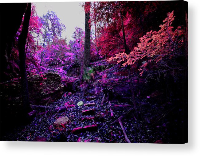 Woods Acrylic Print featuring the photograph Ghost on the Trail by Stacie Siemsen