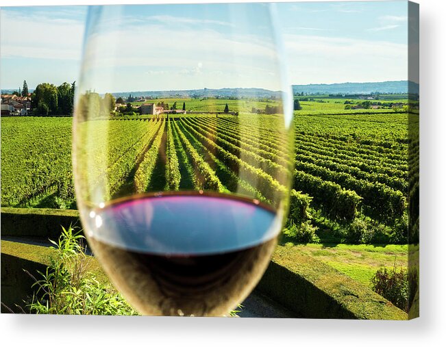 Estock Acrylic Print featuring the digital art Glass Of Amarone Wine by Franco Cogoli