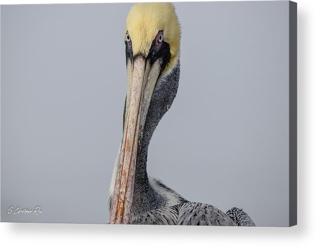 Brown Acrylic Print featuring the photograph Gloomy and Gray by Christopher Rice