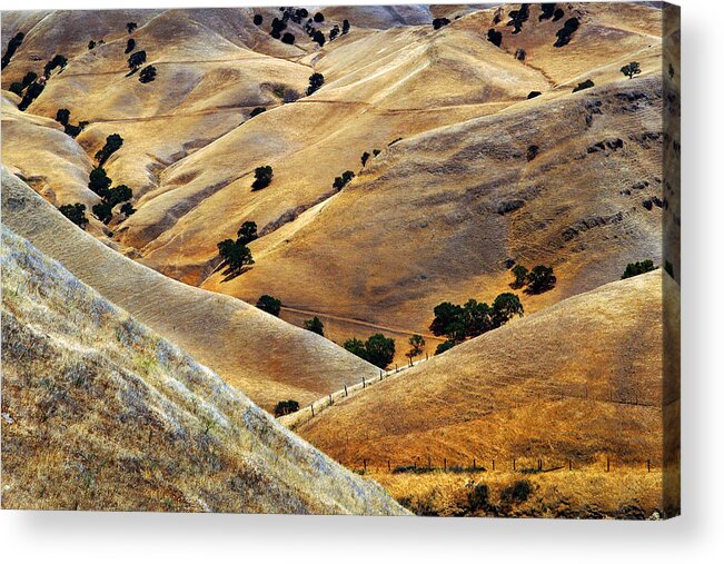 California Acrylic Print featuring the photograph Golden Hills by Jure Kravanja