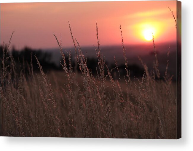 Idaho Acrylic Print featuring the photograph Grass and sunset by Jean Evans