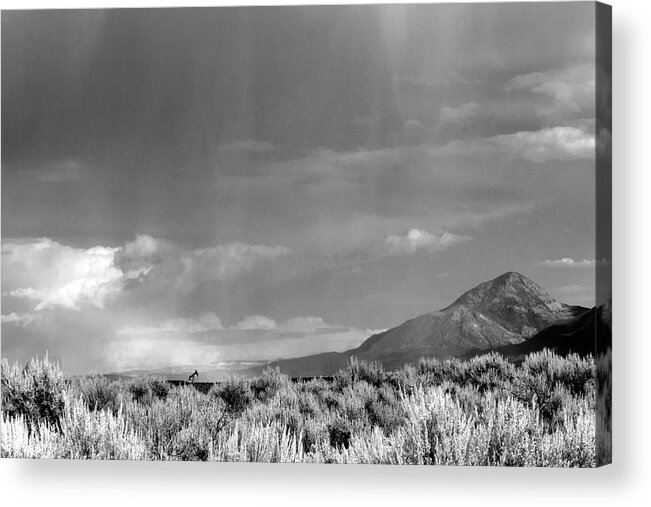 Ute Acrylic Print featuring the photograph Great Sage Plain #1 by Jonathan Thompson