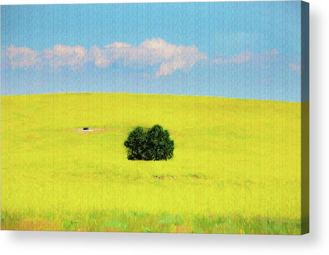Green Acrylic Print featuring the photograph Green bush in the middle of yellow sea  paintography by Dan Friend