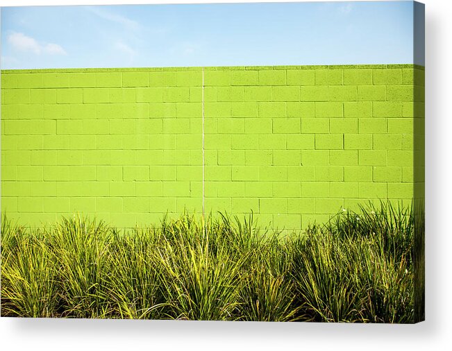 Grass Acrylic Print featuring the photograph Green Wall With Plants by Christian Adams