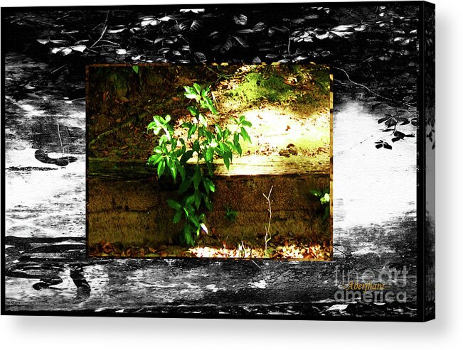 Adaptation Acrylic Print featuring the photograph Growing Where Life Puts Us by Aberjhani