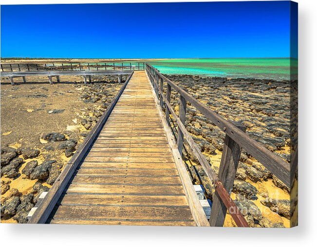 Stromatolites Acrylic Print featuring the photograph Hamelin Pool Path by Benny Marty