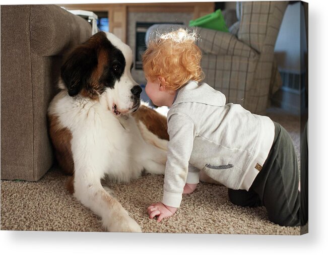 Cute Acrylic Print featuring the photograph Happy Toddler Boy Gets Close To Large Dogs Face On Floor At Home by Cavan Images