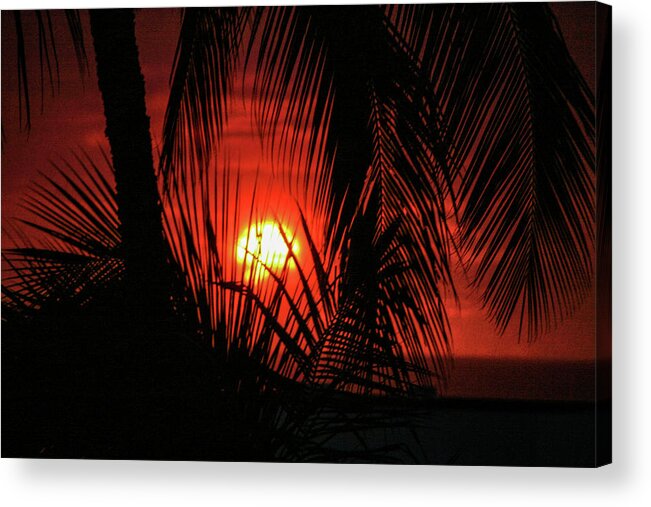 Sunset Acrylic Print featuring the photograph Hawaii Sunset by Natural Vista Photo - Matt Sexton