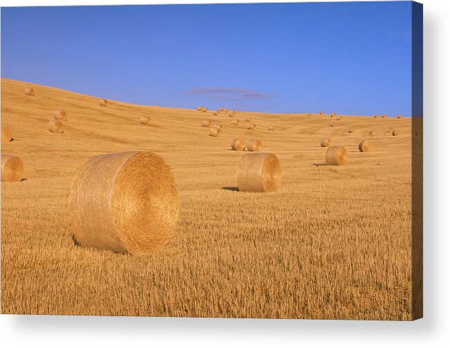 Tranquility Acrylic Print featuring the photograph Hay Bale In Field by Martin Ruegner