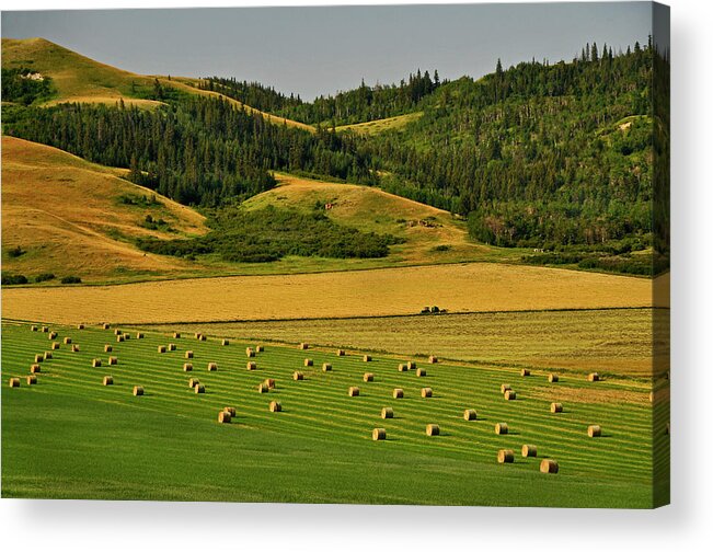 Tranquility Acrylic Print featuring the photograph Hay Bales by Jan Lyall Photography