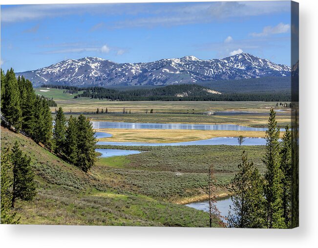 Hayden Valley Acrylic Print featuring the photograph Hayden Valley (ynp) by Galloimages Online