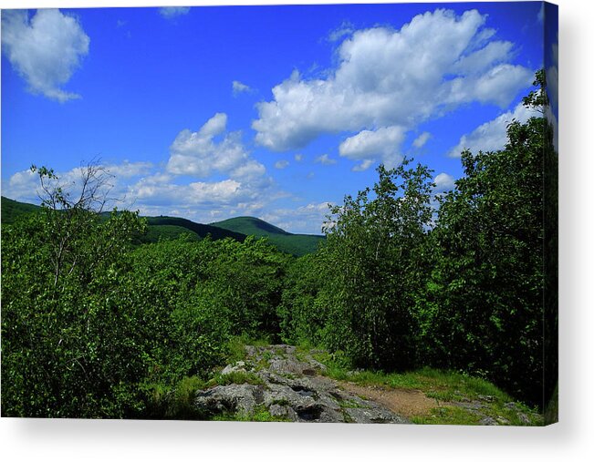 Heading Bear Mountain Connecticut On The Appalachian Trail Acrylic Print featuring the photograph Heading Bear Mountain Connecticut on the Appalachian Trail by Raymond Salani III