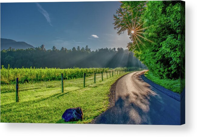 Cades Cove Acrylic Print featuring the photograph Heavenly Sunlight on A Summer Day by Marcy Wielfaert