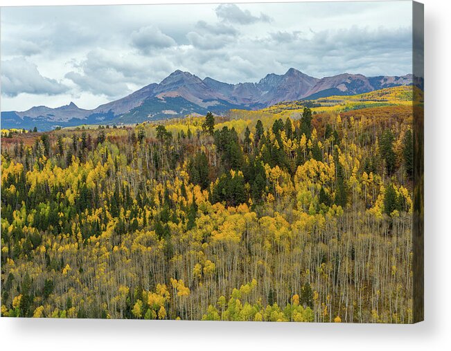 Transfer Trail Acrylic Print featuring the photograph Hesperus Peak in Fall by Jen Manganello