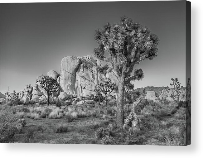 California Acrylic Print featuring the photograph Hidden Valley Rock by Peter Tellone