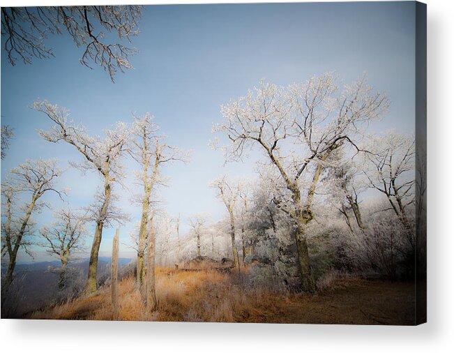 Blue Ridge Acrylic Print featuring the photograph Hilltop Hoarfrost by Mark Duehmig