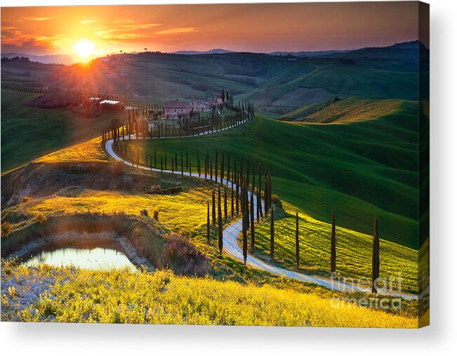 Scenics Acrylic Print featuring the photograph Houses And Treelined Road On Rolling by İlhan Eroglu