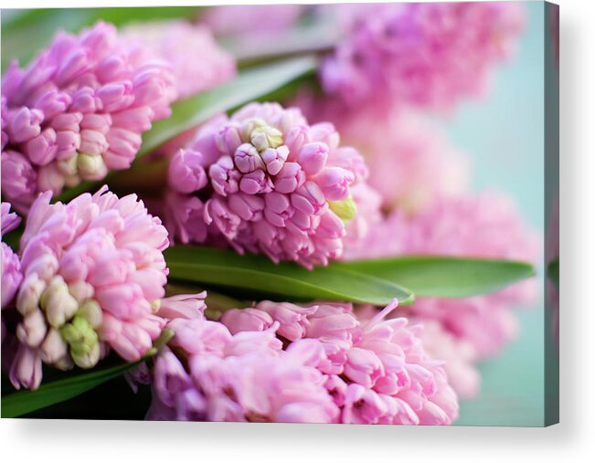 Bouquet Acrylic Print featuring the photograph Hyacinth Bunch by Jim Franco