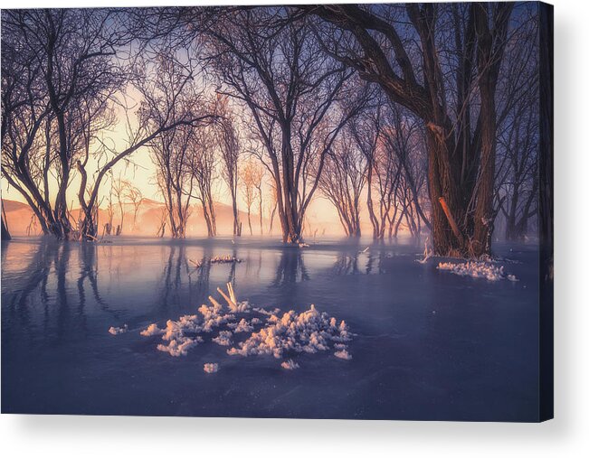 Winter Acrylic Print featuring the photograph Ice And Snow Forest by ??tianqi