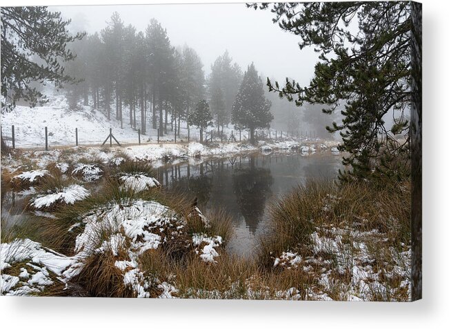Wintertime Acrylic Print featuring the photograph Idyllic winter forest landscape at Troodos Mountains, Cyprus by Michalakis Ppalis