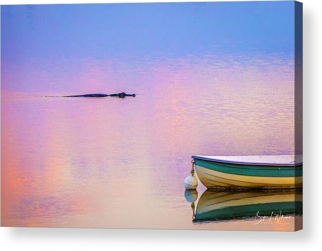 Alligator Acrylic Print featuring the photograph In Search of Breakfast by Bryan Williams