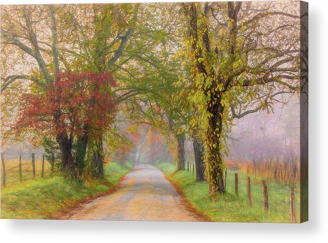 Cades Cove Acrylic Print featuring the photograph In the Light of Autumn by Marcy Wielfaert