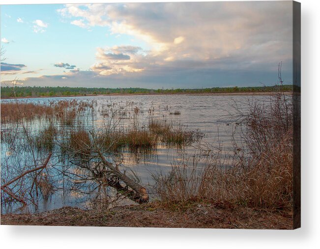 New Jersey Acrylic Print featuring the photograph Incoming In The New Jersey Pine Barrens by Kristia Adams