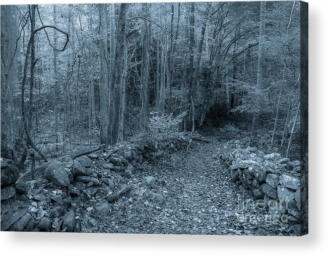  Stone Walls Acrylic Print featuring the photograph Is This The Way by Mike Eingle