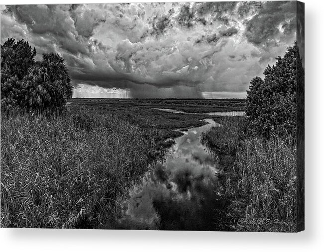 Monochrome Acrylic Print featuring the photograph Isolated Shower - BW by Christopher Holmes