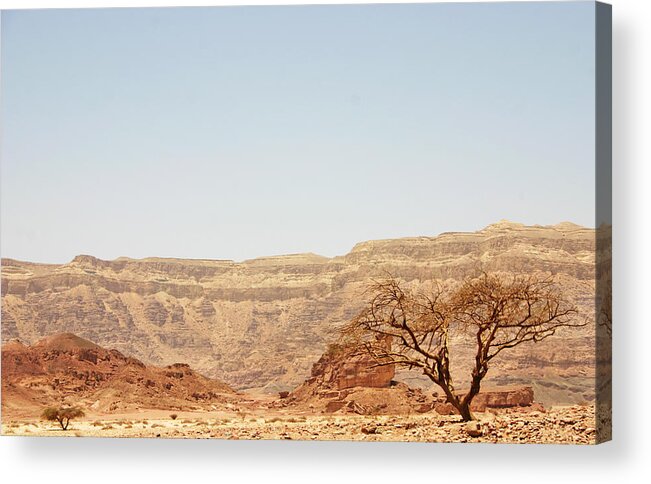 Extreme Terrain Acrylic Print featuring the photograph Israel Wilderness by Doulos