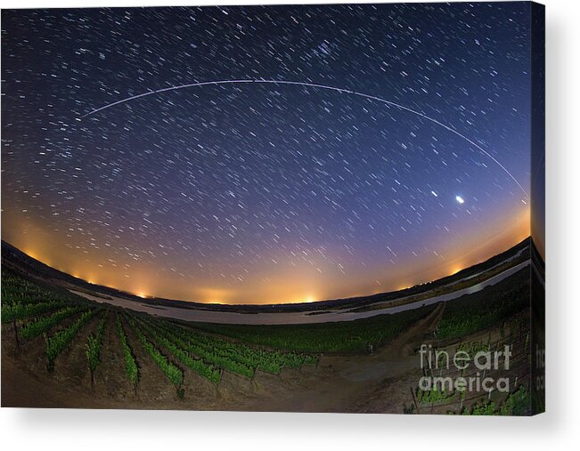 International Space Station Acrylic Print featuring the photograph Iss Light Trail Over A Vineyard by Miguel Claro/science Photo Library