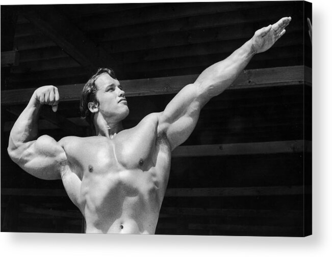Arnold Schwarzenegger Acrylic Print featuring the photograph Its Muscle by Hulton Archive
