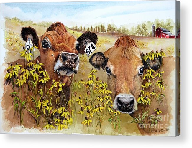 Cows Acrylic Print featuring the painting Jersey Girls by Jeanette Ferguson