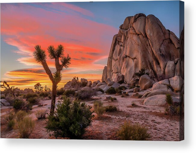 California Acrylic Print featuring the photograph Joshua Tree Sunset by Peter Tellone