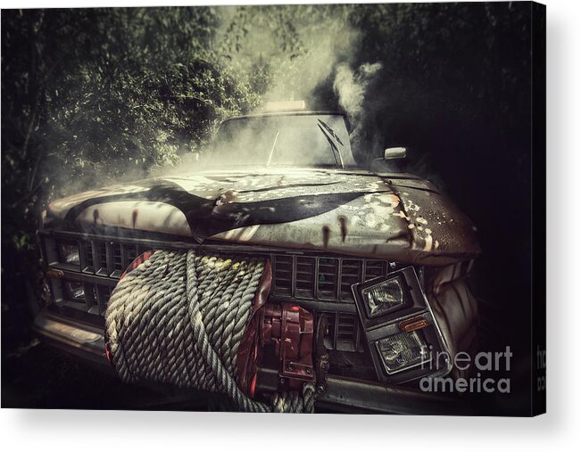 Problems Acrylic Print featuring the photograph Jungle Breakdown by Sean Gladwell