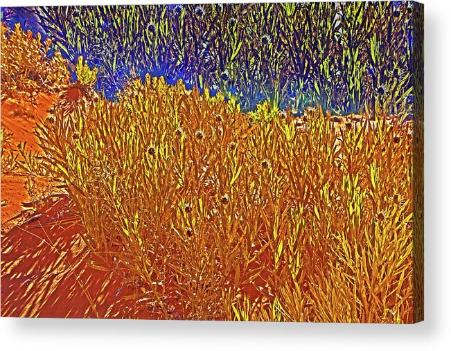 Kanab Coral Dunes Desert Scrub In Flower In Shadow And Light Blues Greens Yellows Browns Acrylic Print featuring the photograph Kanab Coral Dunes Desert Scrub in Flower in shadow and light blues greens yellows browns 6772 by David Frederick