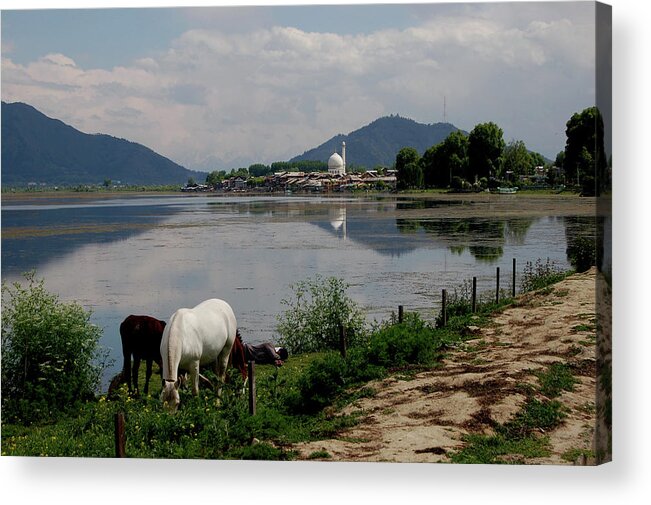 Srinagar Acrylic Print featuring the photograph Kashmir, Sky And Earth by Photo By Ajay Ojha