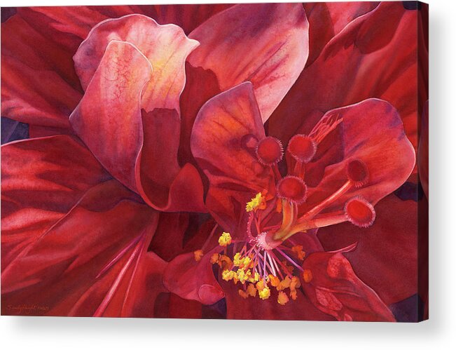 Double Hibiscus Acrylic Print featuring the painting Kilauea's Kiss by Sandy Haight