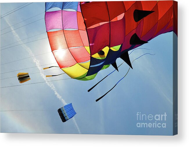 Kites Acrylic Print featuring the photograph Kite Dreams by Randall Dill