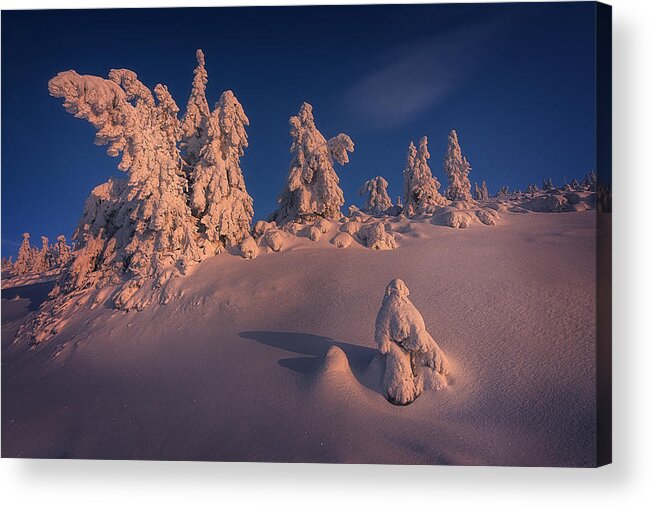 Trees Acrylic Print featuring the photograph Krkonose - National Park by Martin Morvek