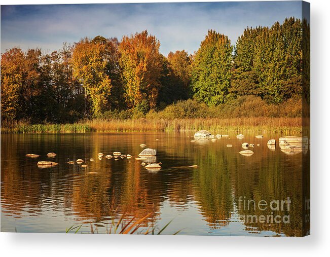 Sweden Acrylic Print featuring the photograph Lake at autumn by Sophie McAulay
