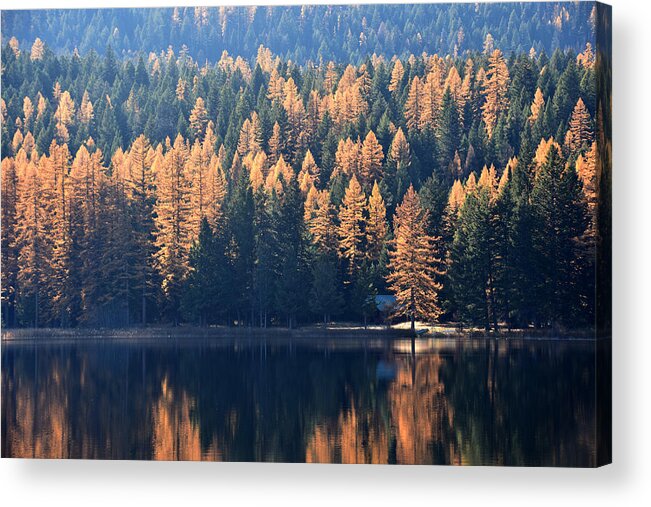 Cabin Acrylic Print featuring the photograph Lake Life by Robin Dickinson