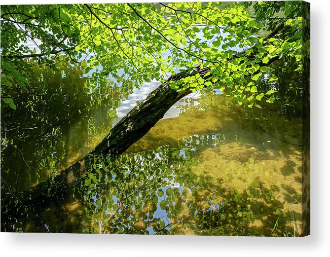 Reflections Acrylic Print featuring the photograph Lake near Sweita Lipka, Northern Poland by Dubi Roman