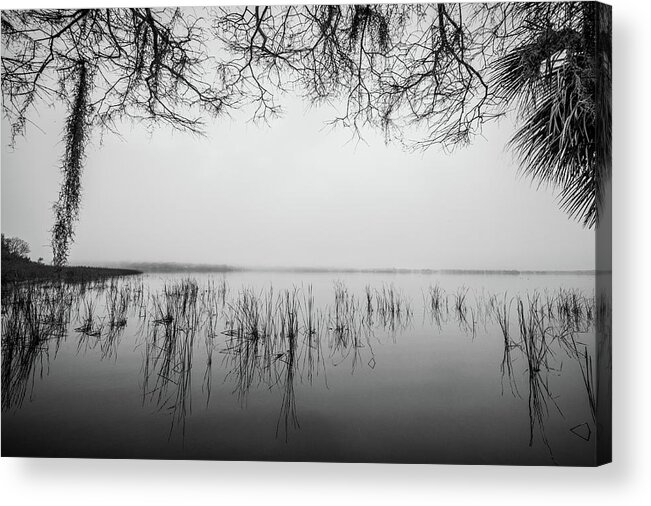Nature Acrylic Print featuring the photograph Lake Tarpon by Joe Leone