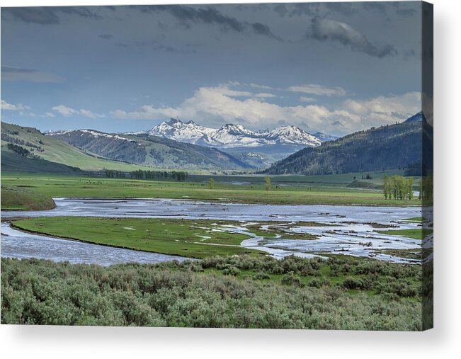 Lamar Valley Acrylic Print featuring the photograph Lamar Valley (ynp) by Galloimages Online